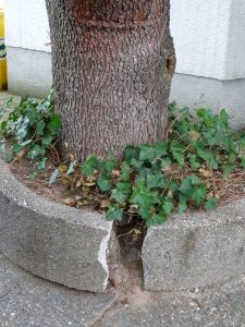 Blasting Tree