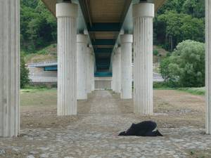 Brücke mit Niederwerfung Bild und Wort