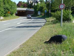 Tunnel mit Niederwerfung vor den Errungenschaften der Neuzeit. Aktion, 2019. Text