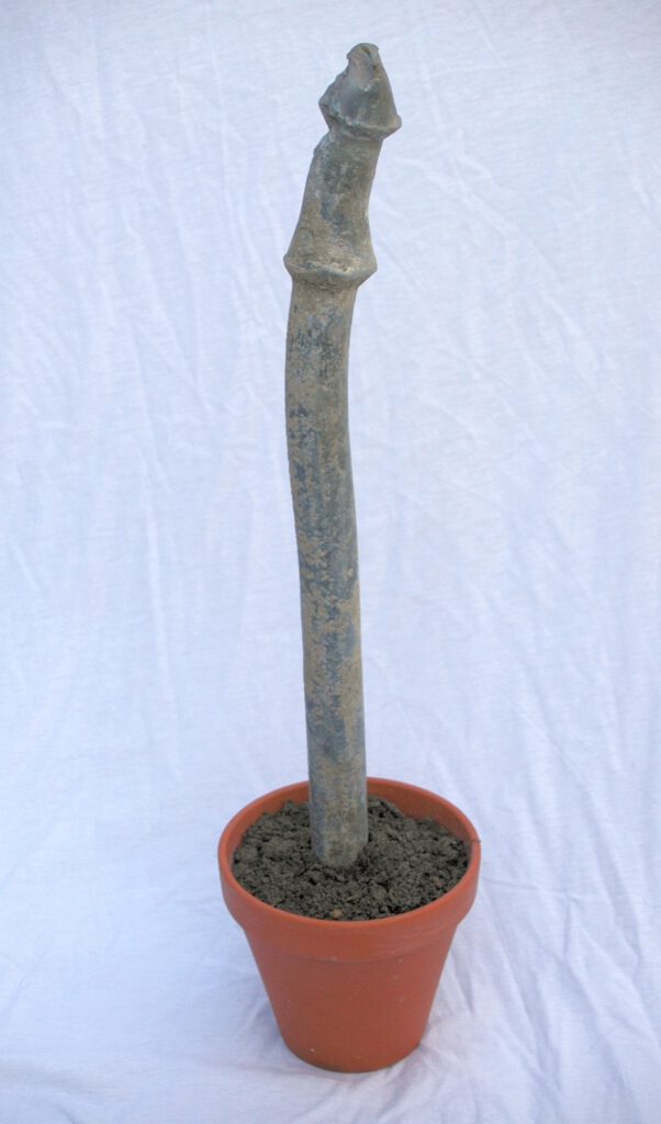 Object: Lead flower. 2010, Berlin, 13 x 13 x 53 cm, lead pipe, clay pot, earth