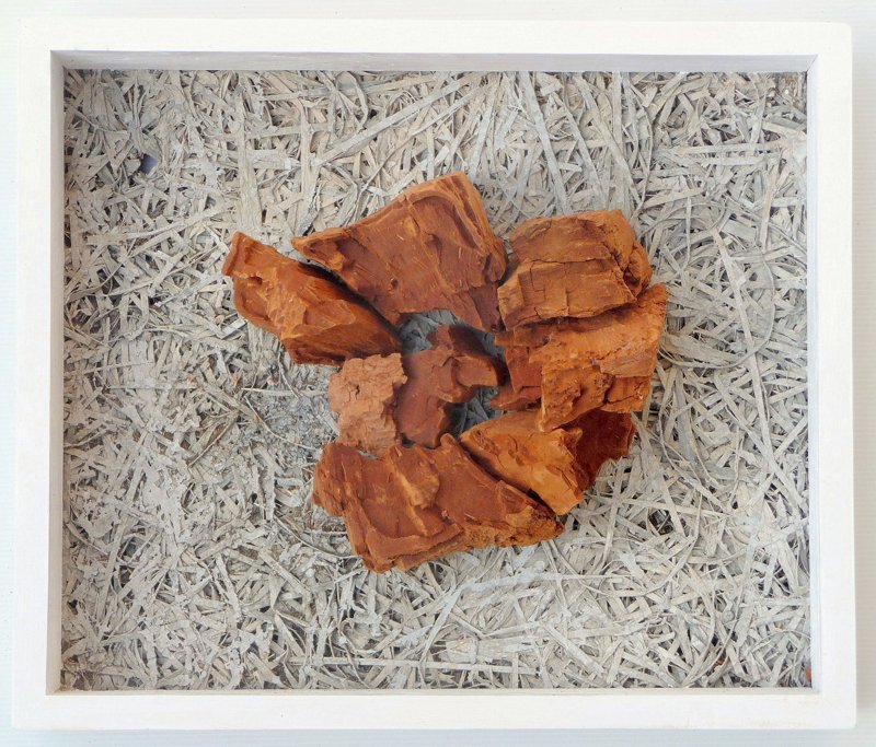 Objekt: Holz und Späne. 2011, Berlin, 48 x 41 x 16 cm. Totholz von Akazie auf zementgebunder Spanplatte, Holzrahmen