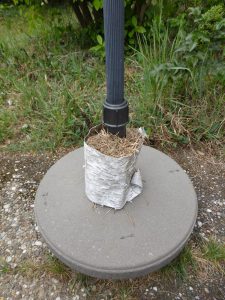 Biotope. Parasol stand, birch bark, hay