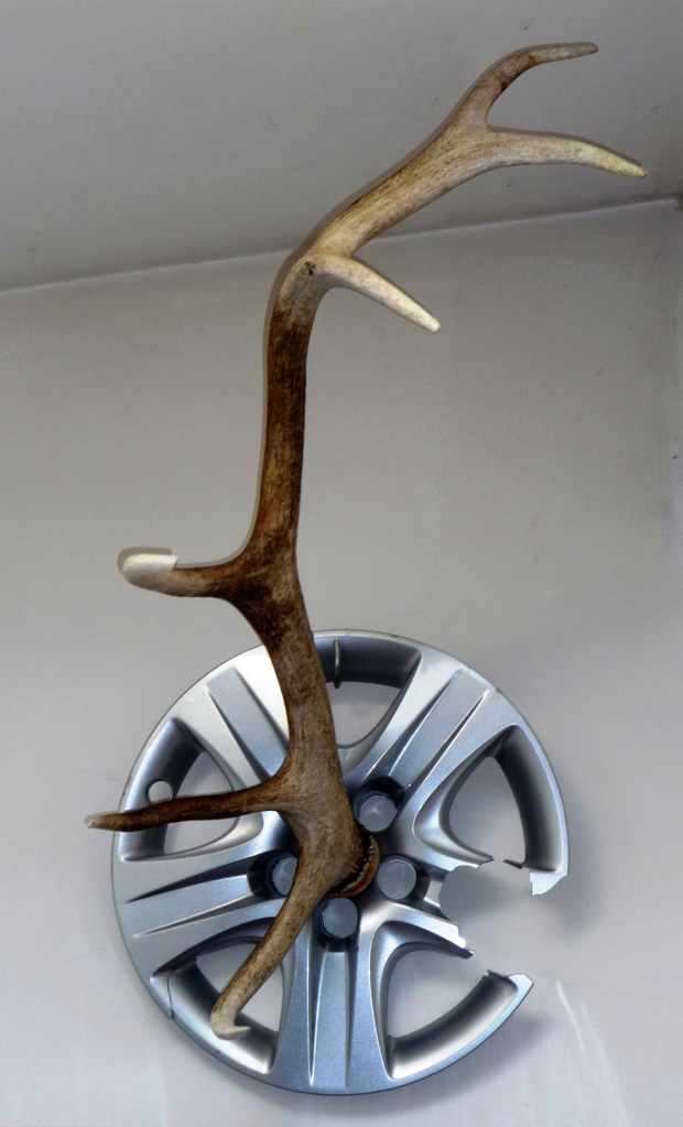 Deer antlers on hubcap