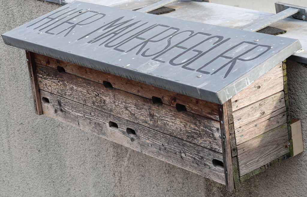 Swift nest box 2023 empty for the first time after many years of whistling and nesting in summer. Is the reason the insect die-off due to agricultural poisons?No, this year they came again, but later.