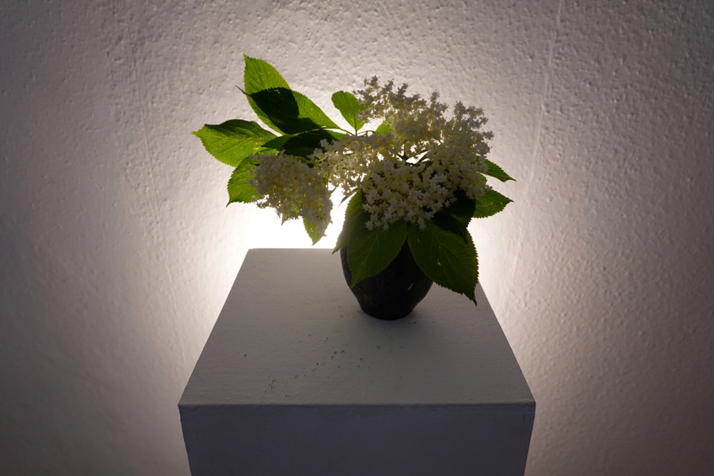 Tom Albrecht: This is how the good sustainable life goes. Installation, 2023, Berlin, language five min., audio player, fragrant regional flowers, LED spotlight.