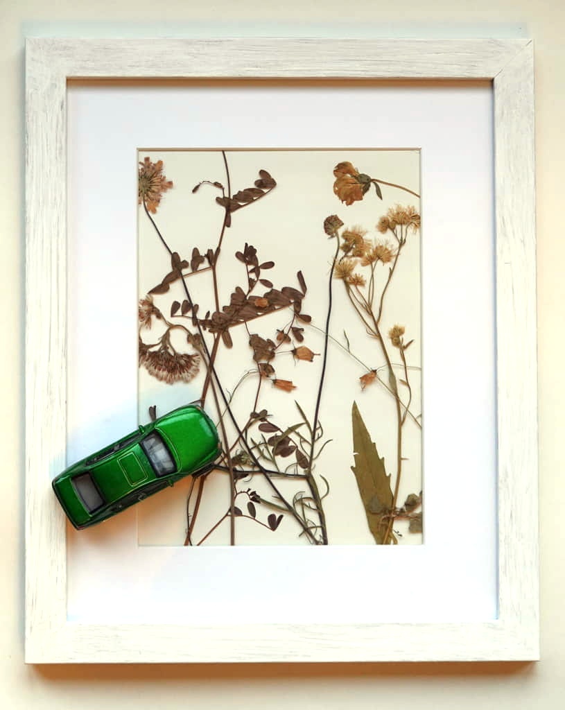 Car flowers, object, Berlin, 2024, 23 x 27.5 x 1.5 cm, meadow flowers pressed and dried, toy car, picture frame with glass.
