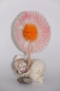 Zum Einzug. 2024, Berlin, 7,5 x 6 x 12 cm, Muscheln, Stein, Papierblume