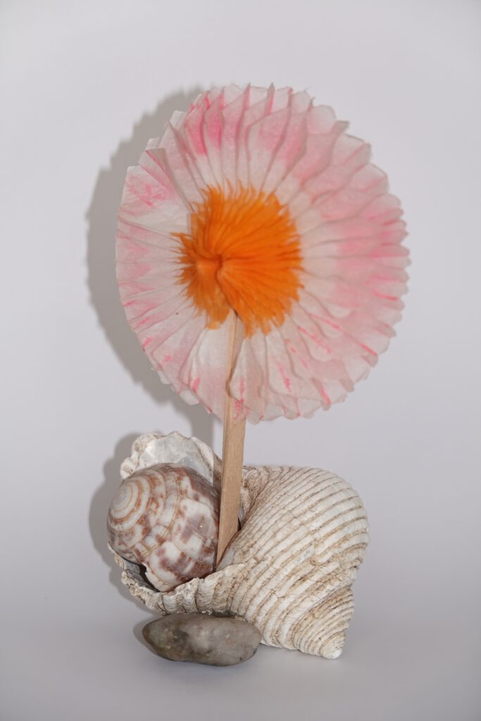To move in. 2024, Berlin, 7.5 x 6 x 12 cm, shells, stone, paper flower